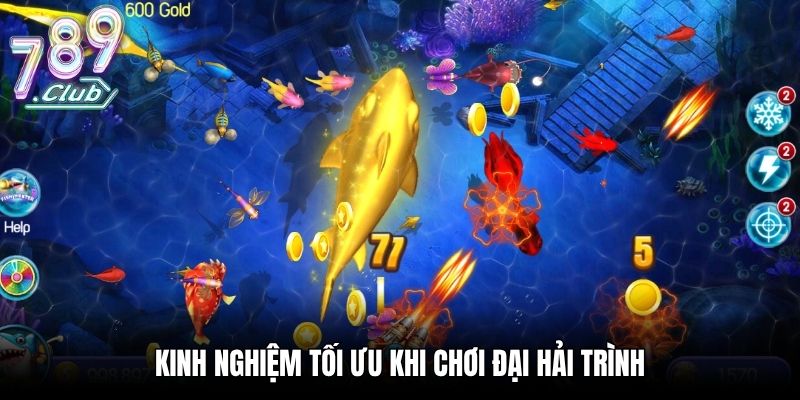 Đại Hải Trình - Siêu Phẩm Săn Cá Phiêu Lưu Cực Cuốn Hút Kinh nghiệm tối ưu khi chơi Đại Hải Trình